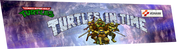 Turtles in Time Marquee- custom design
